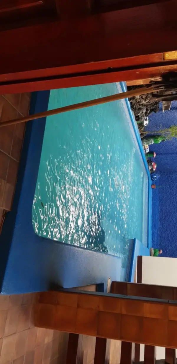 Art Hotel Managua Main image