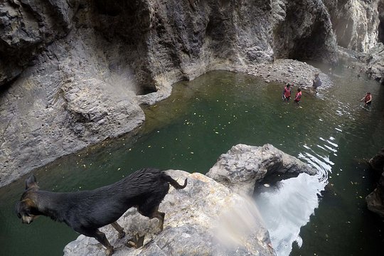 Tour image 6